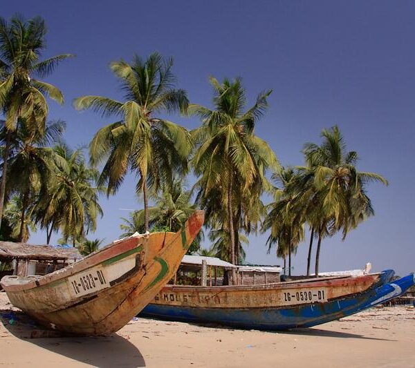 Pirogues sur la plage